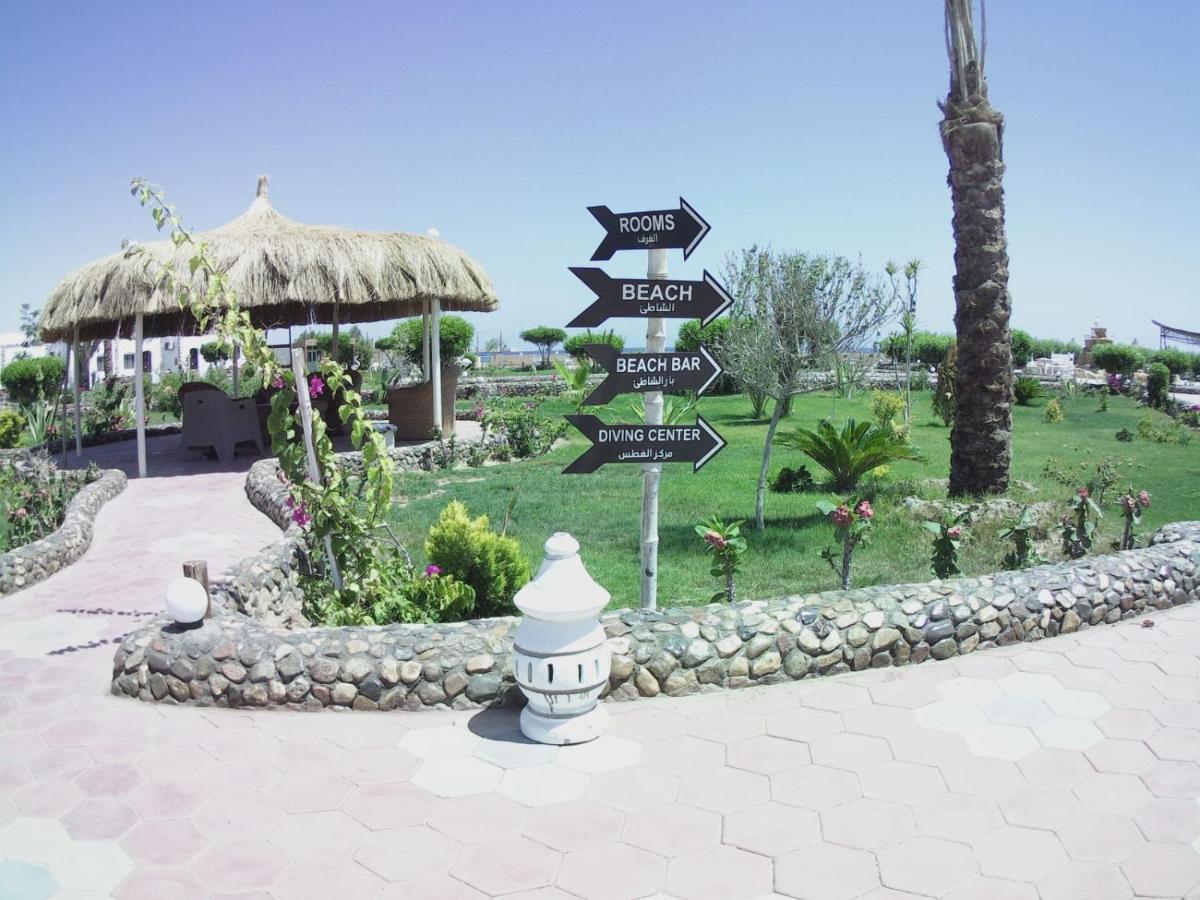 Dolphin Continental Hotel El Qoseir Екстериор снимка