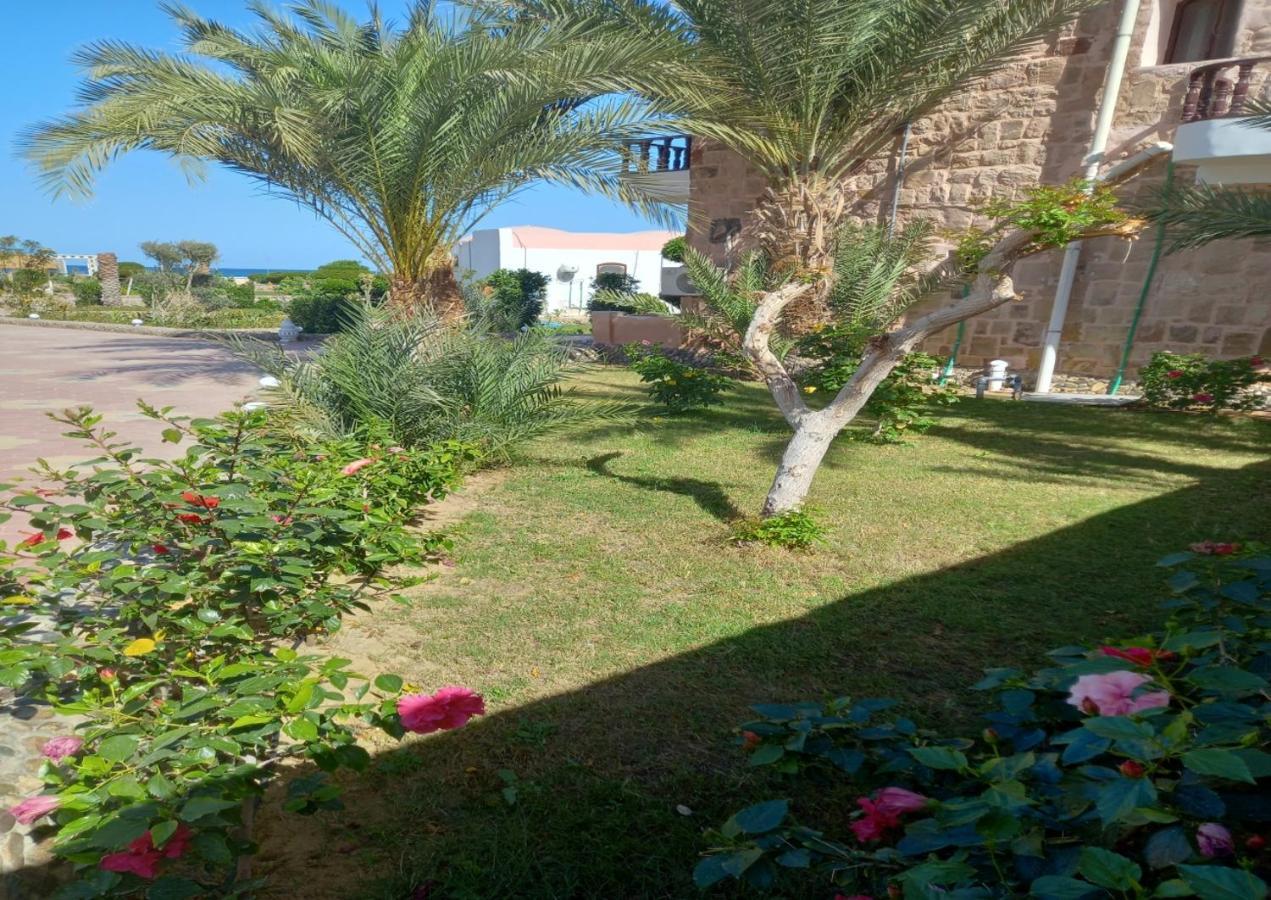 Dolphin Continental Hotel El Qoseir Екстериор снимка