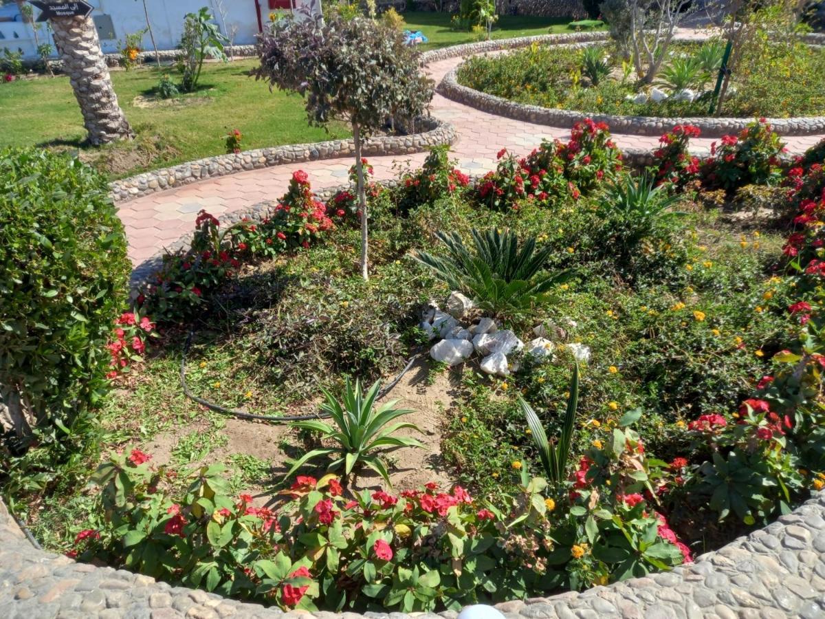 Dolphin Continental Hotel El Qoseir Екстериор снимка