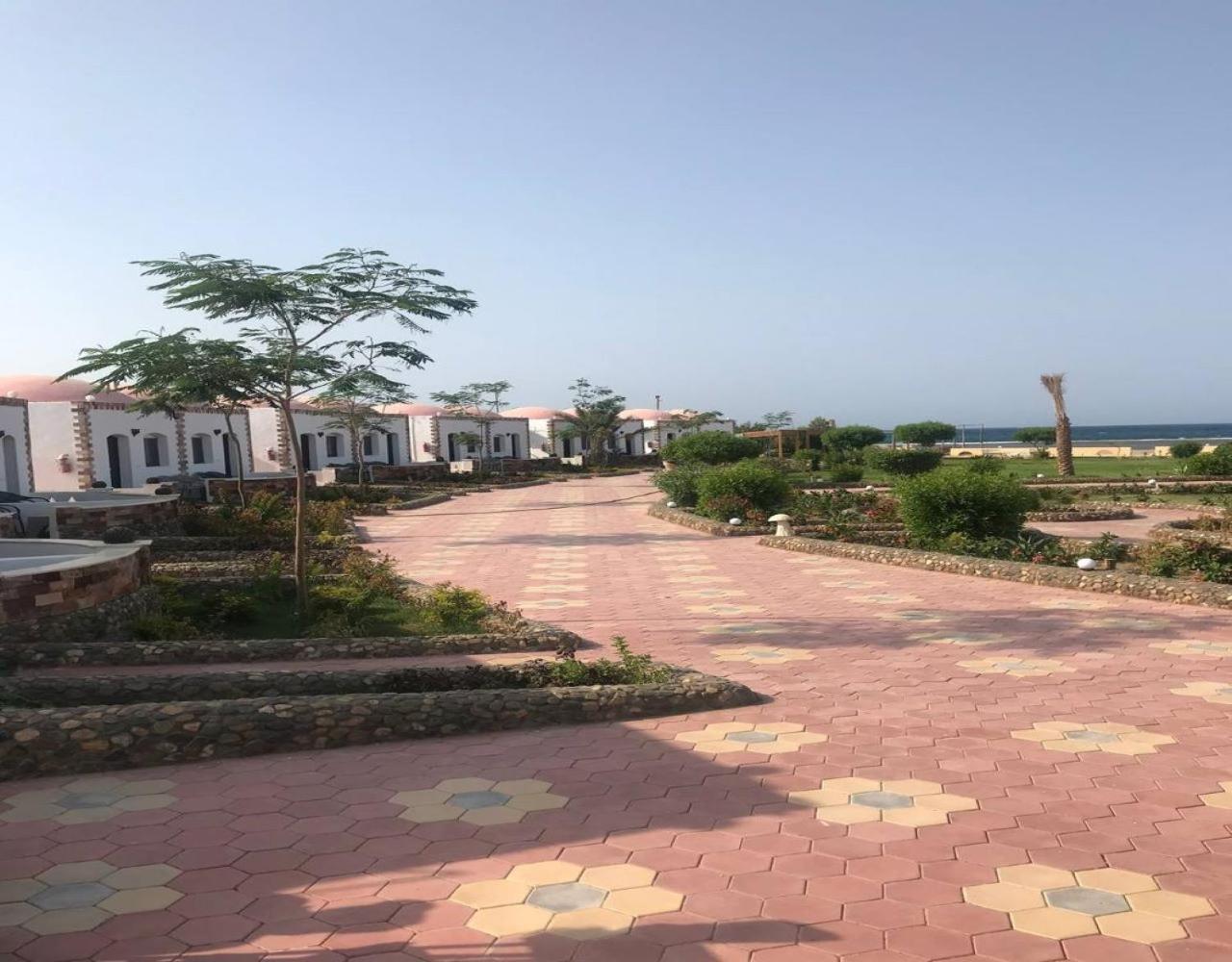 Dolphin Continental Hotel El Qoseir Стая снимка