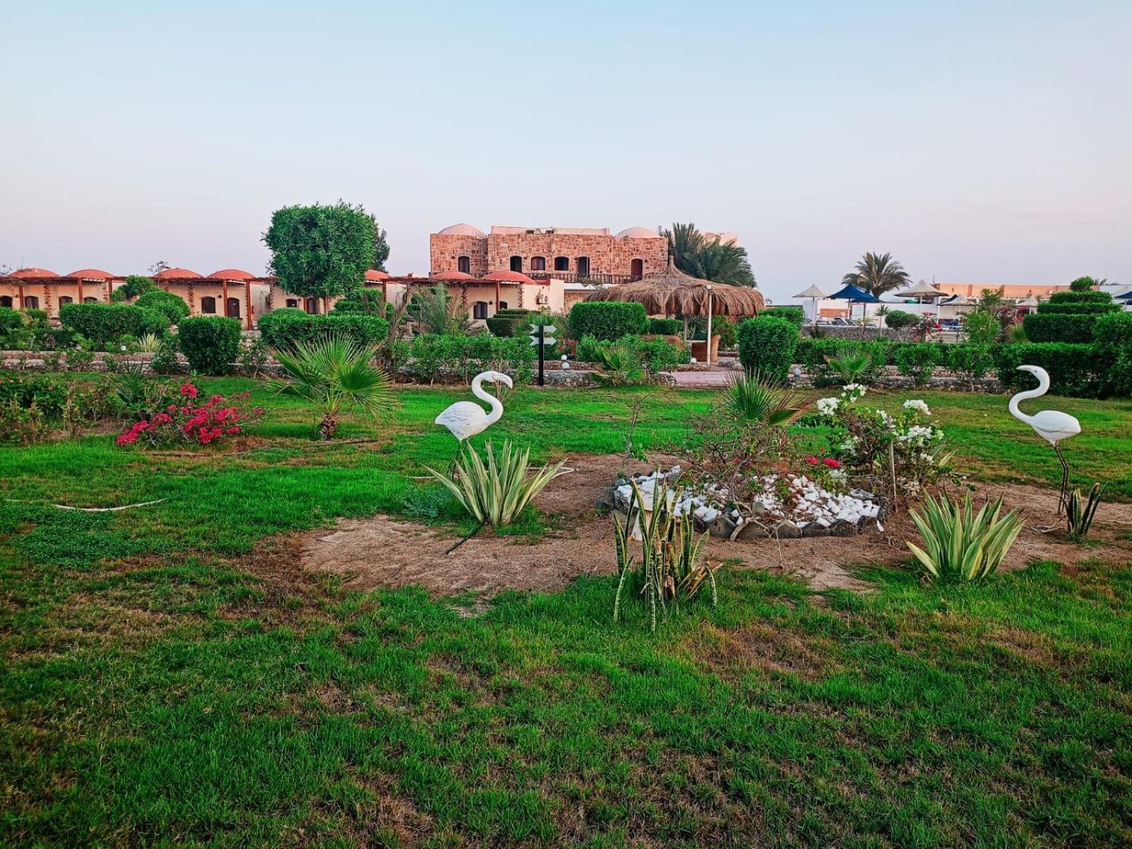 Dolphin Continental Hotel El Qoseir Екстериор снимка