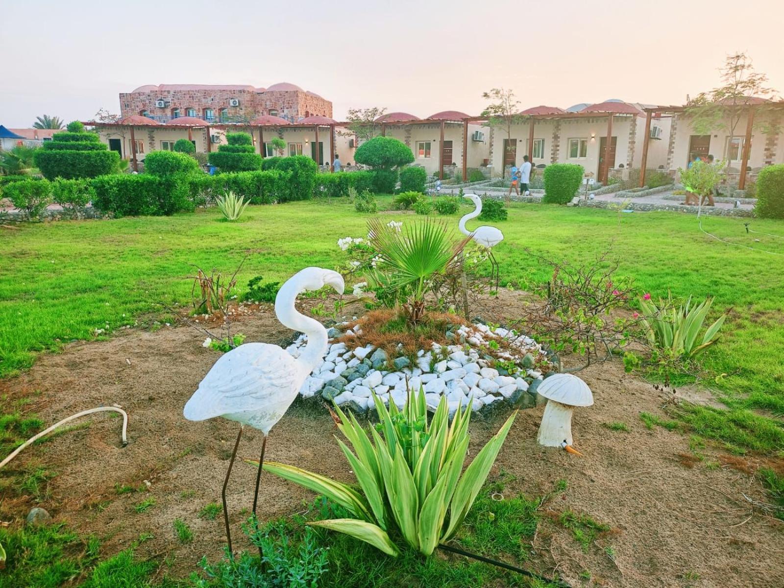 Dolphin Continental Hotel El Qoseir Екстериор снимка