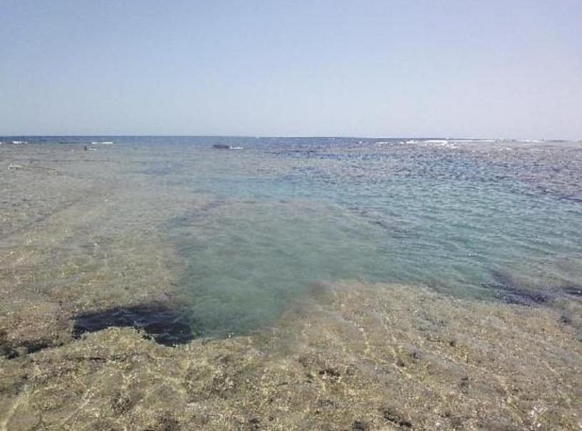 Dolphin Continental Hotel El Qoseir Екстериор снимка